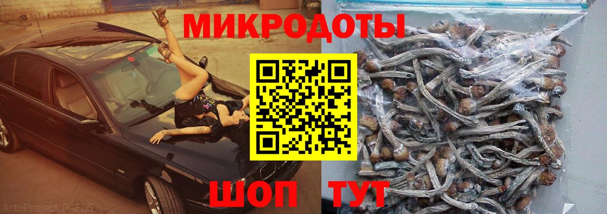 Псилоцибиновые грибы прущие грибы Боровичи