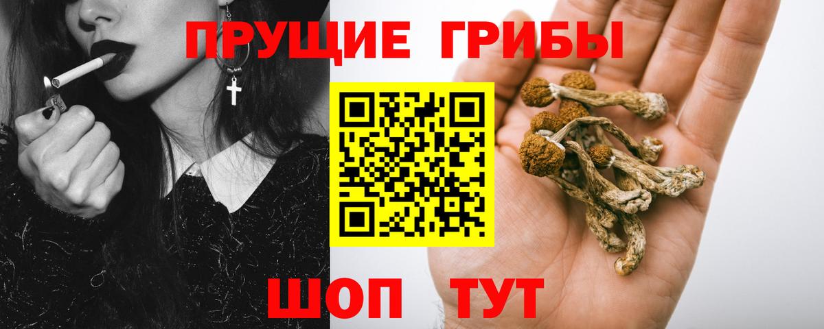 Галлюциногенные грибы MAGIC MUSHROOMS  Вход с VPN  Боровичи 